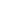 Google Play Icon